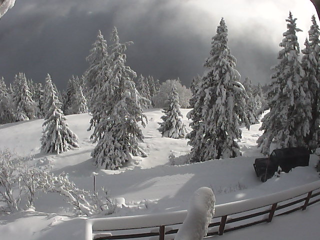 2009.12.01@15.14
Admirez l'état de la Yagi 5 él. !
